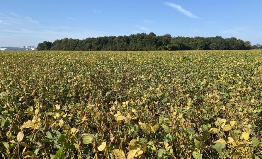 Online Farmland Auction